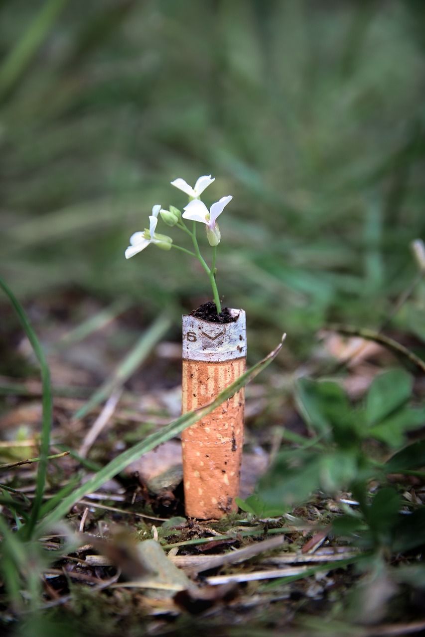 Choisir hypnose pour arrêter de fumer pour améliorer sa santé et préserver l'environnement Choisir hypnose pour arrêter de fumer pour améliorer sa santé et préserver l'environnement