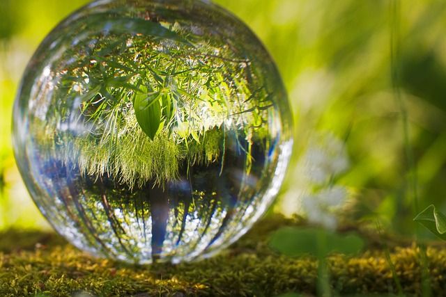 Des valeurs personnelles fortes alignées avec la protection de l'environnement et l'hypnose Sajece Des valeurs personnelles fortes alignées avec la protection de l'environnement et l'hypnose Sajece